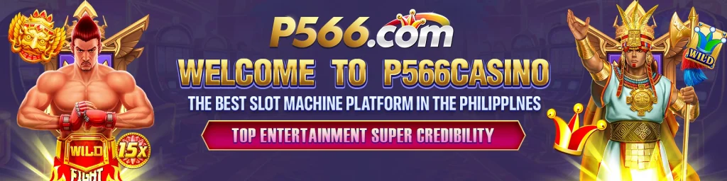 P566.com